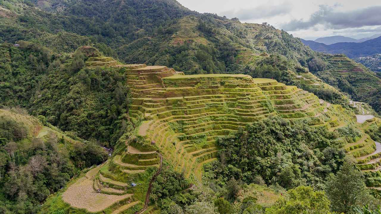 The Banaue rice terraces in the Philippine Cordilleras